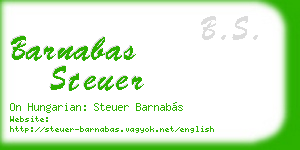barnabas steuer business card
